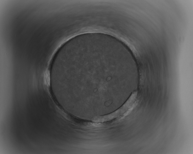 X0000102301509200808011352