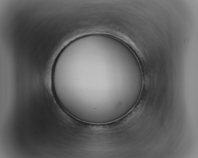 X0000102301512200808011352