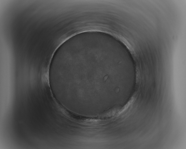 X0000102301513200808011352