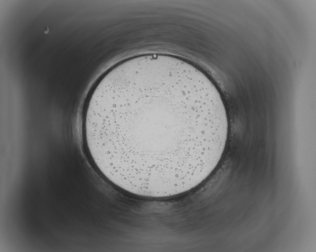 X0000102301514200808011352