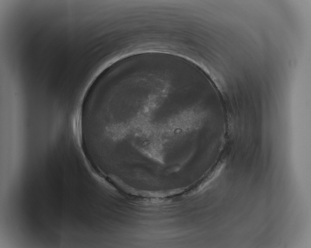 X0000102301515200808011352