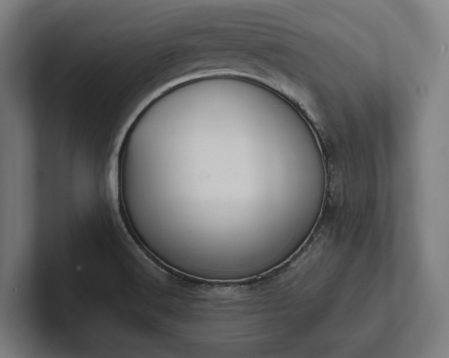 X0000102301516200808011352