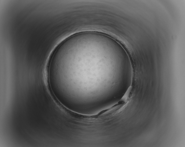 X0000102301517200808011352