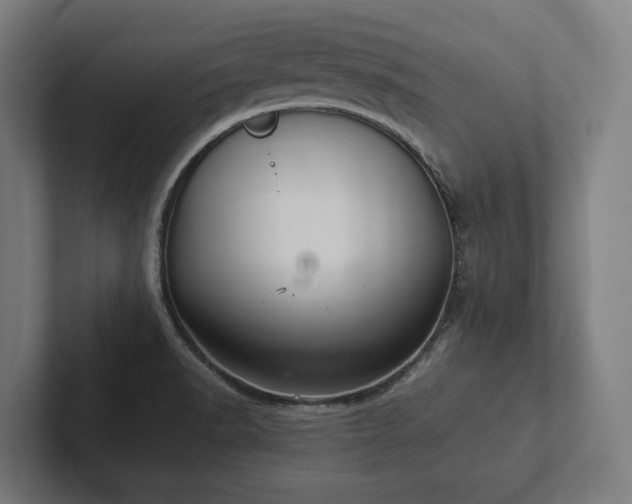 X0000102301518200808011352