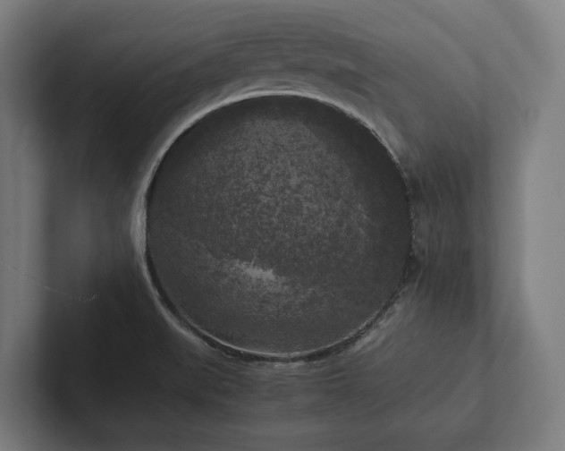 X0000102301519200808011352