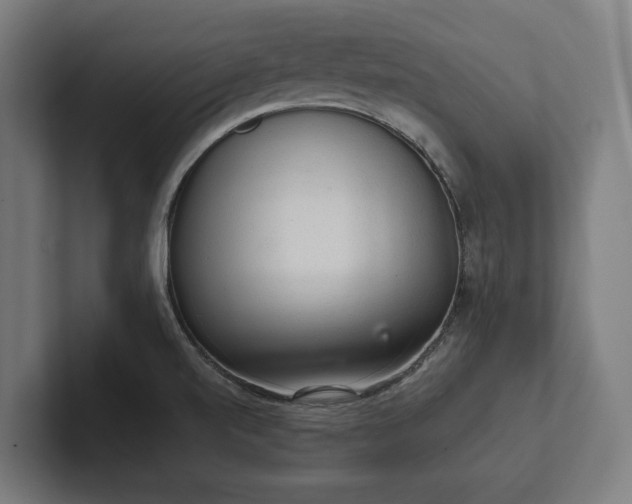 X0000102301520200808011352