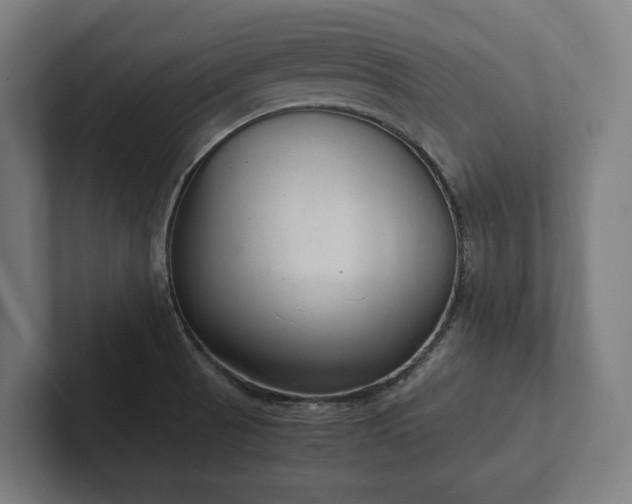 X0000102301521200808011352