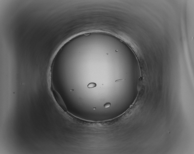 X0000102301524200808011352