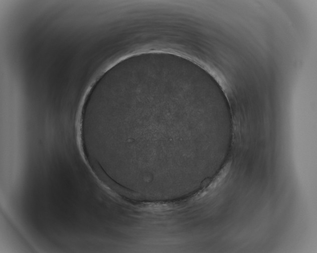 X0000102301525200808011352