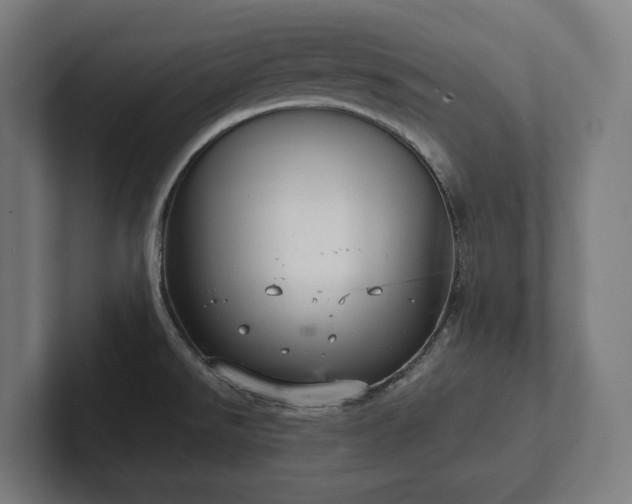 X0000102301526200808011352