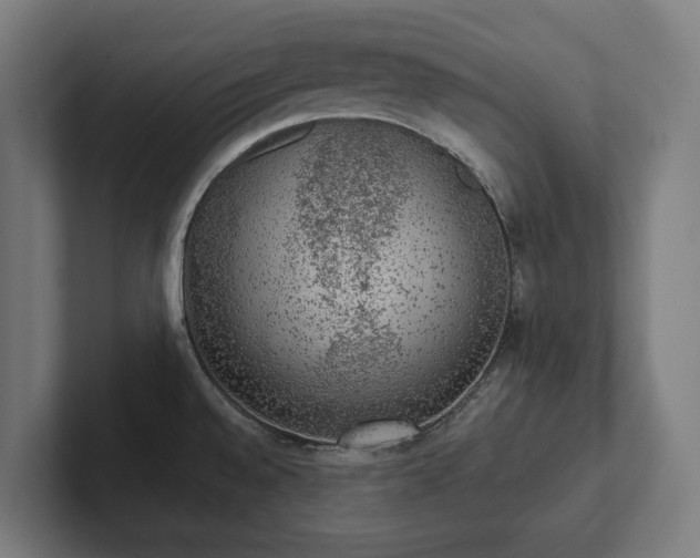 X0000102301528200808011352