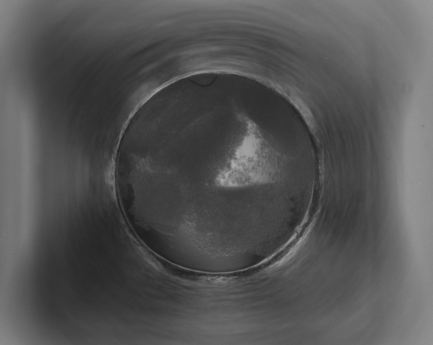 X0000102301529200808011352