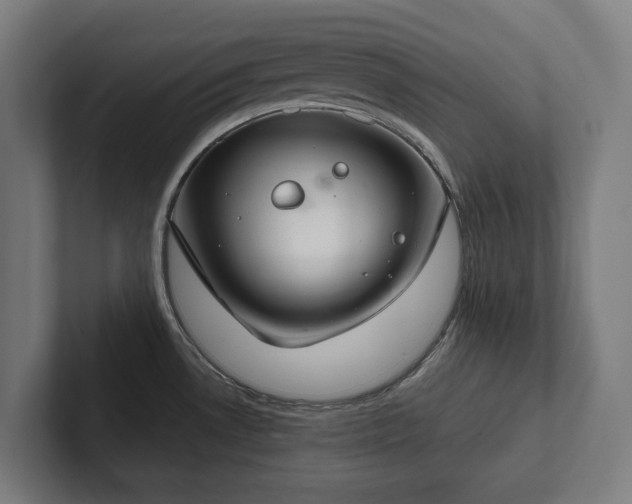 X0000102301530200808011352