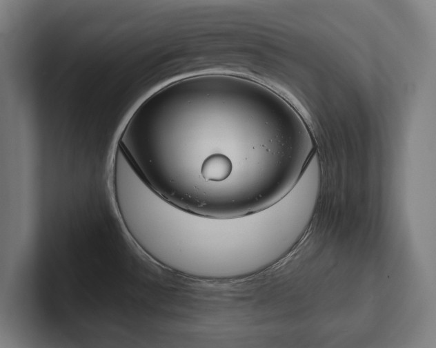 X0000102301532200808011352