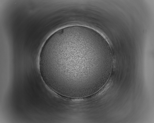 X0000102301535200808011352