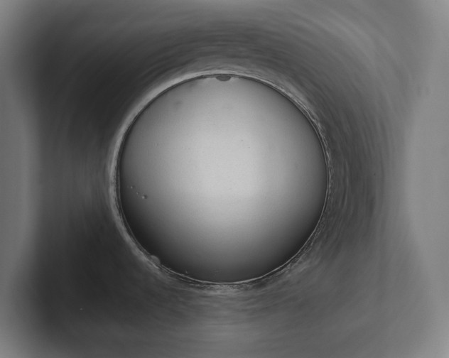 X0000102301536200808011352