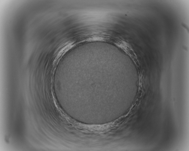 X0000102300001200808011550