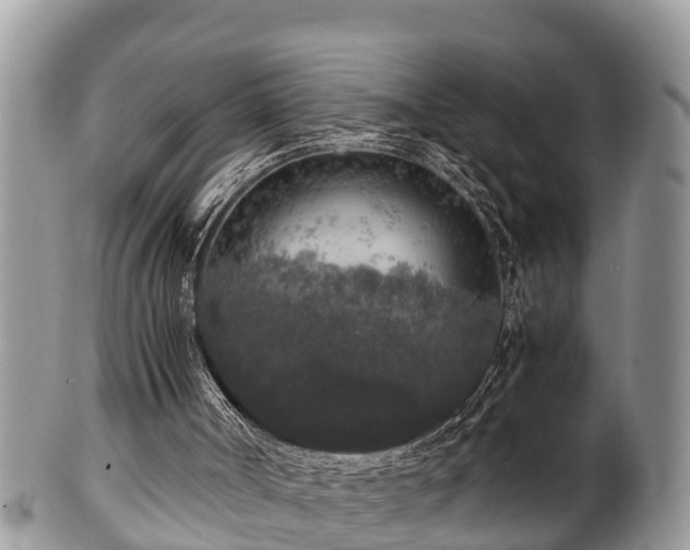 X0000102300002200808011550