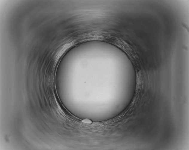 X0000102300003200808011550