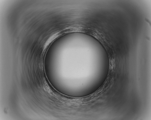 X0000102300004200808011550