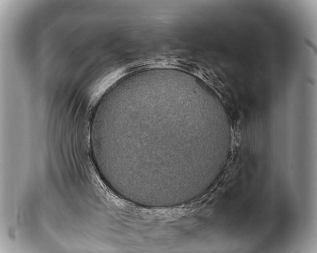 X0000102300005200808011550