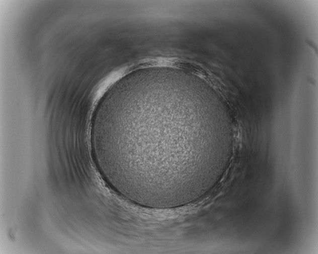 X0000102300006200808011550