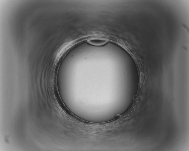 X0000102300007200808011550