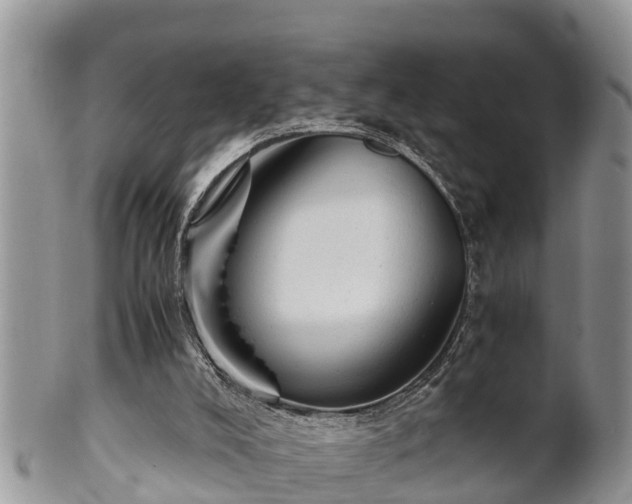 X0000102300008200808011550