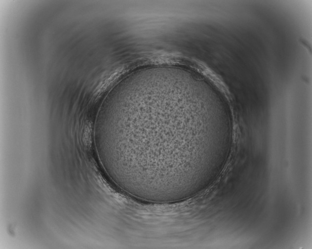 X0000102300009200808011550