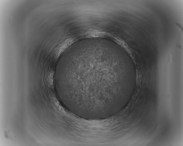 X0000102300010200808011550