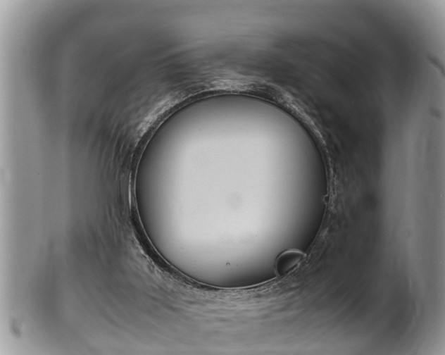 X0000102300011200808011550