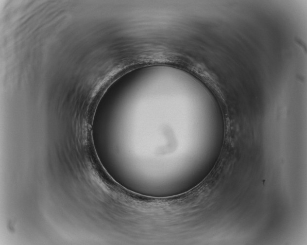 X0000102300012200808011550