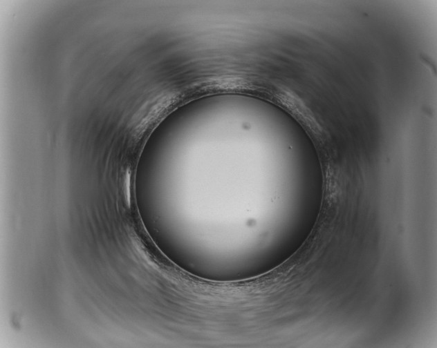 X0000102300014200808011550