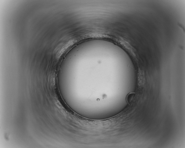 X0000102300015200808011550