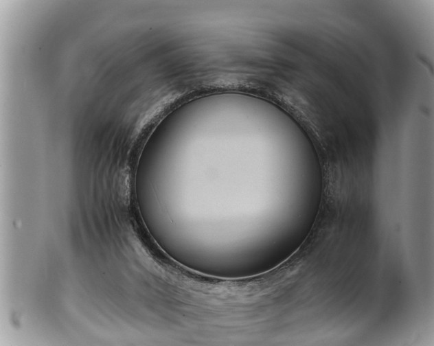 X0000102300016200808011550