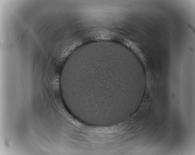 X0000102300017200808011550