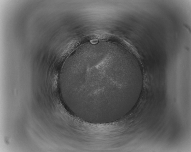 X0000102300018200808011550