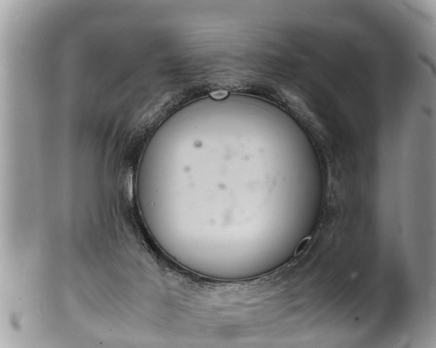 X0000102300021200808011550