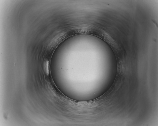 X0000102300022200808011550