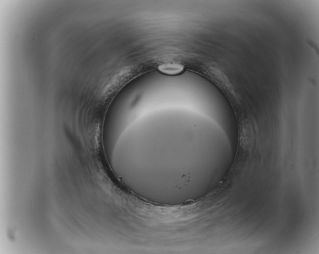 X0000102300023200808011550