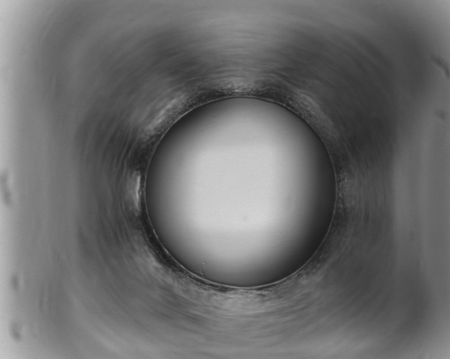 X0000102300024200808011550