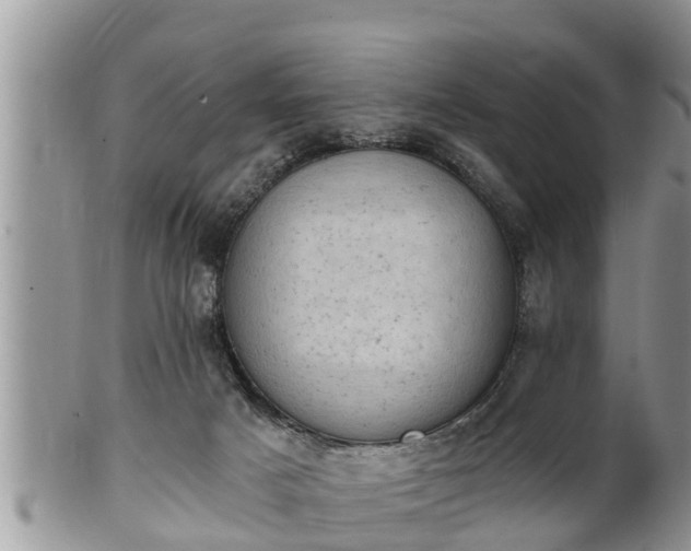 X0000102300025200808011550