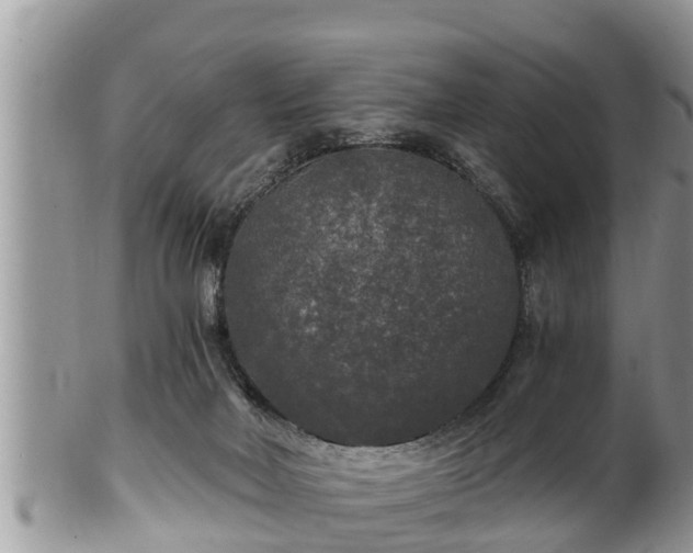 X0000102300026200808011550