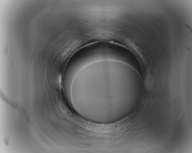 X0000102300027200808011550