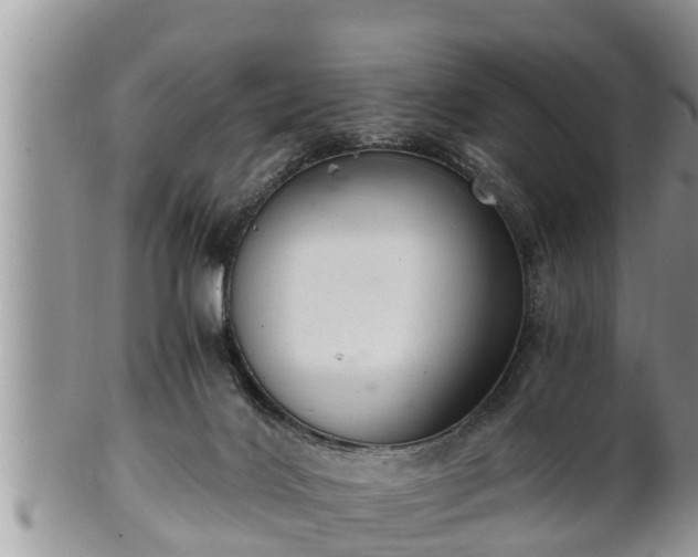 X0000102300028200808011550