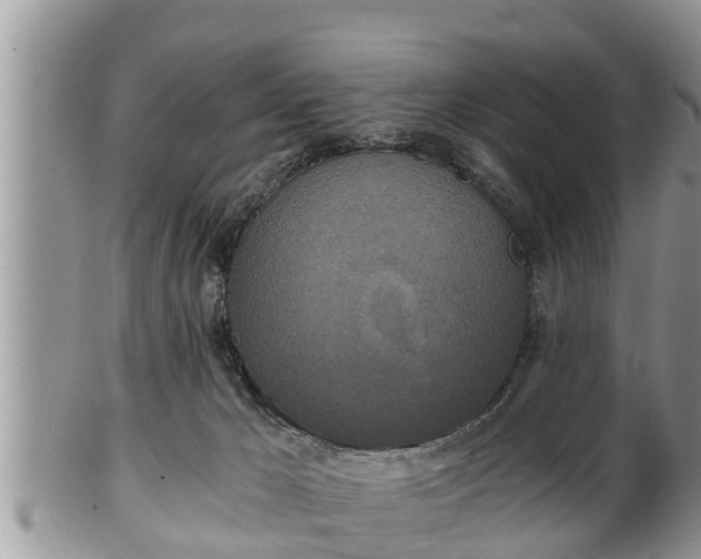 X0000102300029200808011550