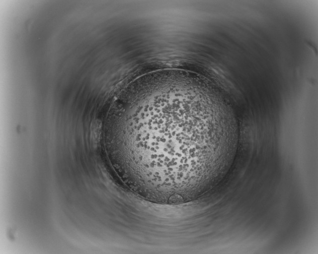 X0000102300030200808011550