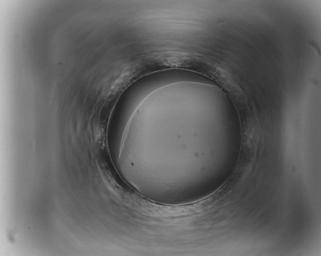 X0000102300031200808011550