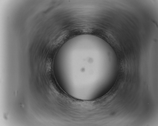 X0000102300032200808011550