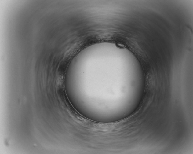 X0000102300033200808011550